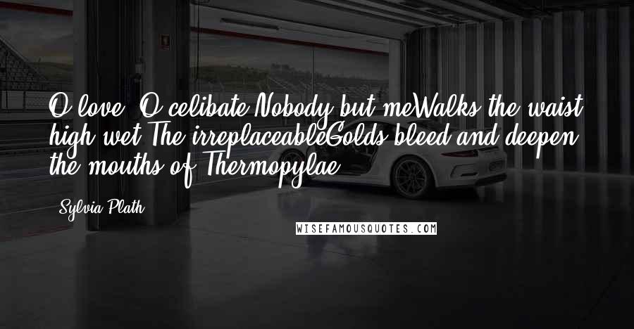 Sylvia Plath Quotes: O love, O celibate.Nobody but meWalks the waist high wet.The irreplaceableGolds bleed and deepen, the mouths of Thermopylae.