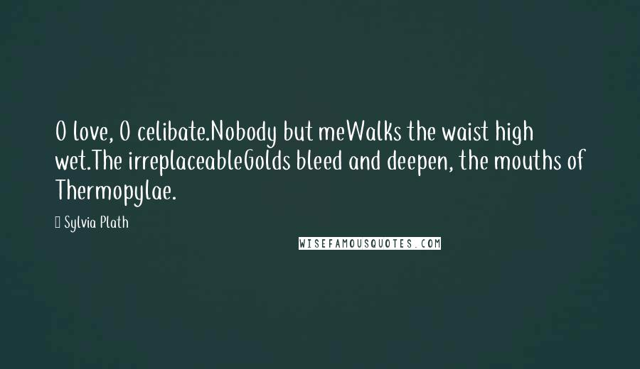 Sylvia Plath Quotes: O love, O celibate.Nobody but meWalks the waist high wet.The irreplaceableGolds bleed and deepen, the mouths of Thermopylae.