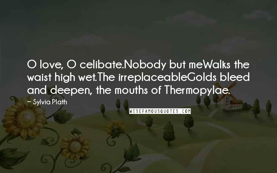 Sylvia Plath Quotes: O love, O celibate.Nobody but meWalks the waist high wet.The irreplaceableGolds bleed and deepen, the mouths of Thermopylae.