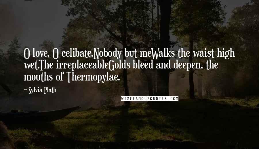 Sylvia Plath Quotes: O love, O celibate.Nobody but meWalks the waist high wet.The irreplaceableGolds bleed and deepen, the mouths of Thermopylae.