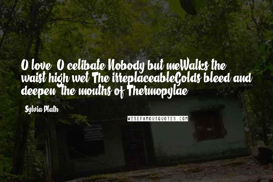 Sylvia Plath Quotes: O love, O celibate.Nobody but meWalks the waist high wet.The irreplaceableGolds bleed and deepen, the mouths of Thermopylae.