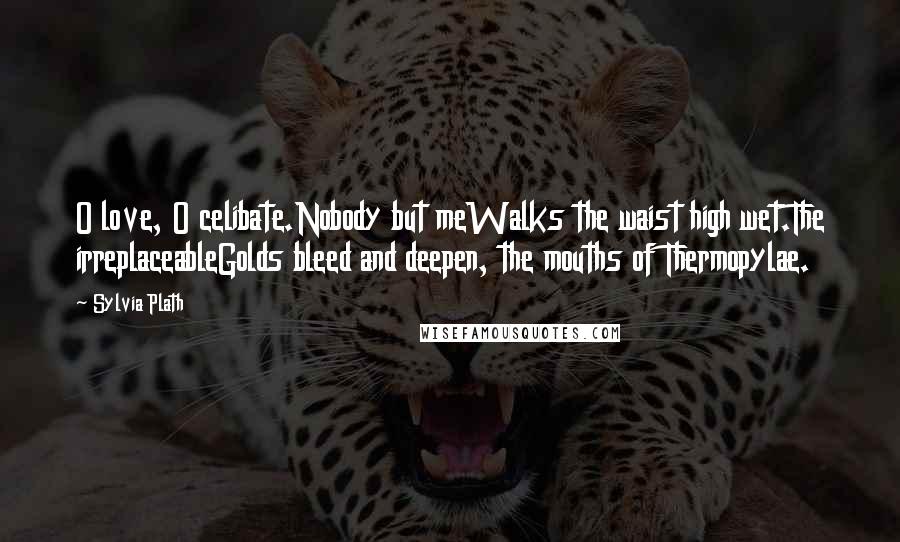 Sylvia Plath Quotes: O love, O celibate.Nobody but meWalks the waist high wet.The irreplaceableGolds bleed and deepen, the mouths of Thermopylae.