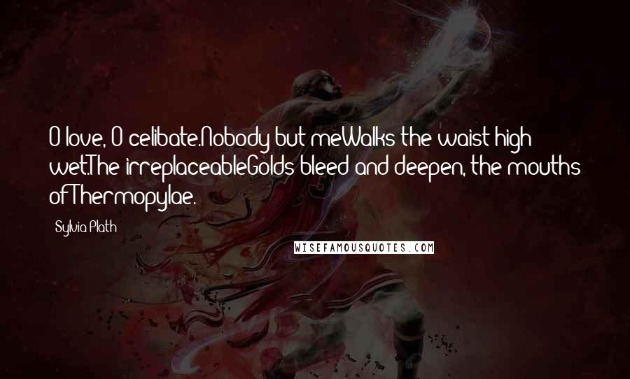 Sylvia Plath Quotes: O love, O celibate.Nobody but meWalks the waist high wet.The irreplaceableGolds bleed and deepen, the mouths of Thermopylae.