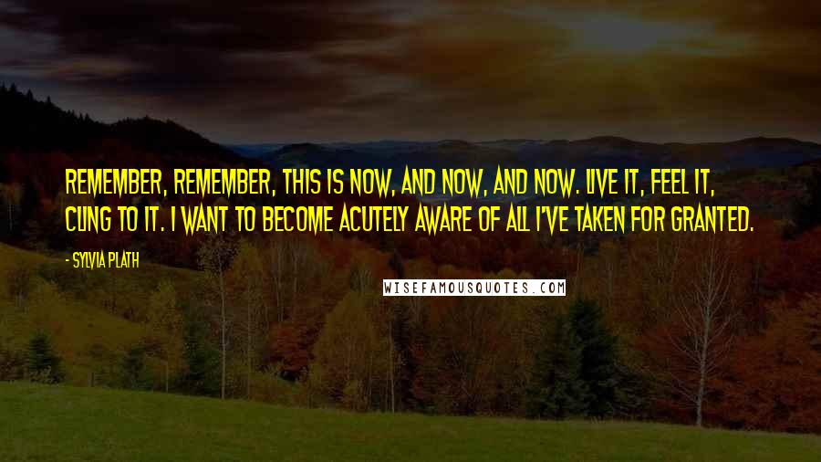 Sylvia Plath Quotes: Remember, remember, this is now, and now, and now. Live it, feel it, cling to it. I want to become acutely aware of all I've taken for granted.