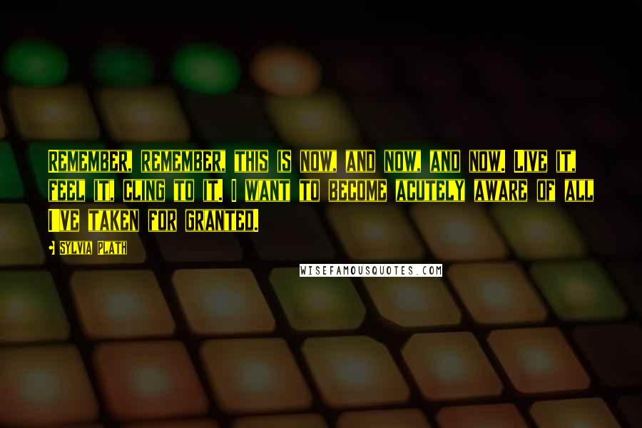 Sylvia Plath Quotes: Remember, remember, this is now, and now, and now. Live it, feel it, cling to it. I want to become acutely aware of all I've taken for granted.
