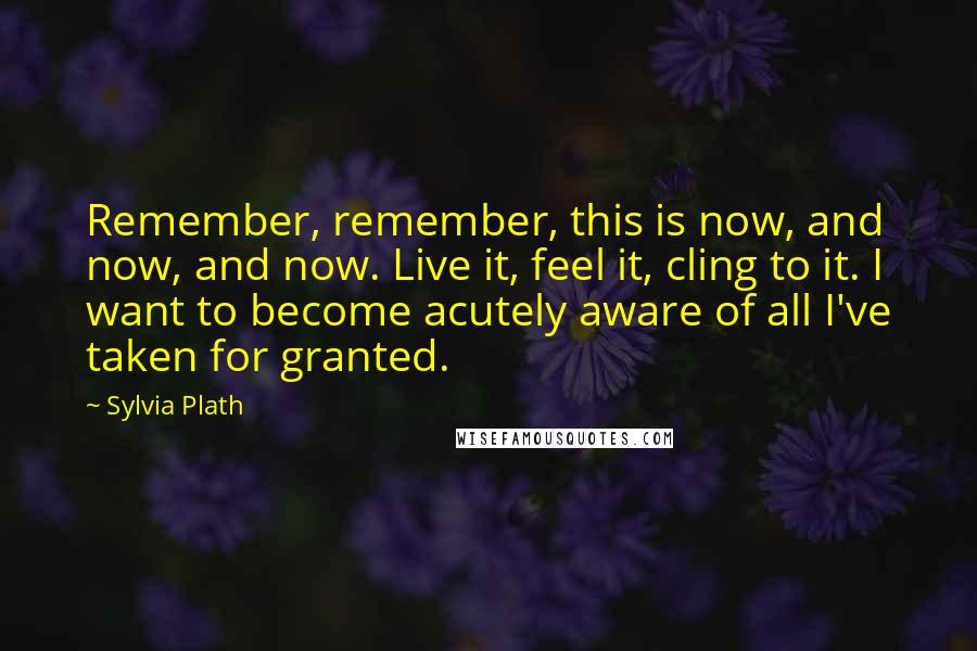 Sylvia Plath Quotes: Remember, remember, this is now, and now, and now. Live it, feel it, cling to it. I want to become acutely aware of all I've taken for granted.