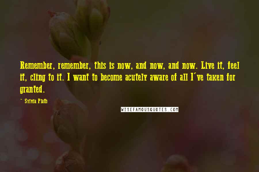 Sylvia Plath Quotes: Remember, remember, this is now, and now, and now. Live it, feel it, cling to it. I want to become acutely aware of all I've taken for granted.