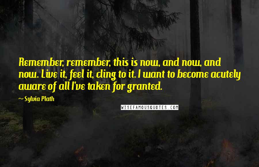 Sylvia Plath Quotes: Remember, remember, this is now, and now, and now. Live it, feel it, cling to it. I want to become acutely aware of all I've taken for granted.