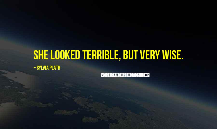 Sylvia Plath Quotes: She looked terrible, but very wise.