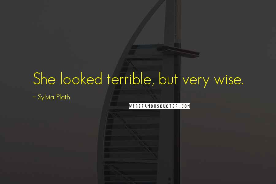 Sylvia Plath Quotes: She looked terrible, but very wise.