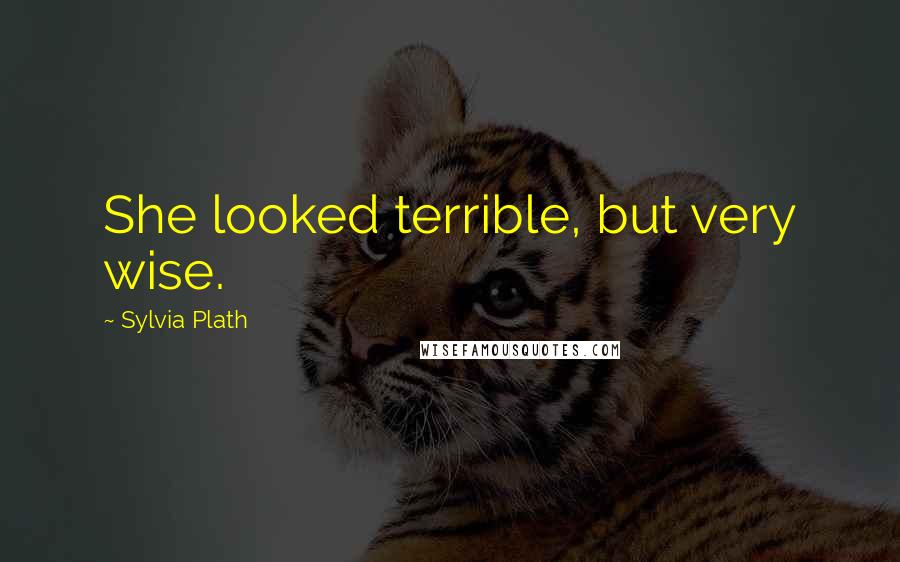 Sylvia Plath Quotes: She looked terrible, but very wise.