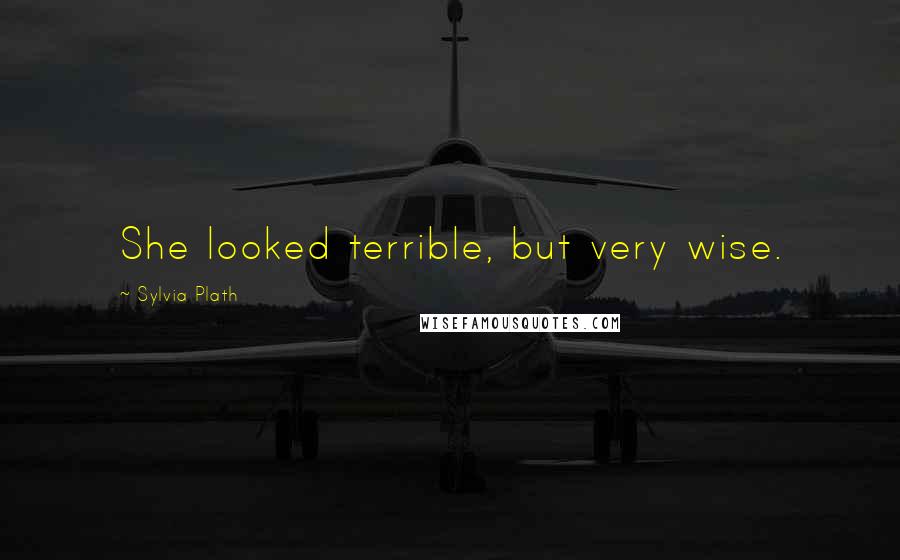 Sylvia Plath Quotes: She looked terrible, but very wise.