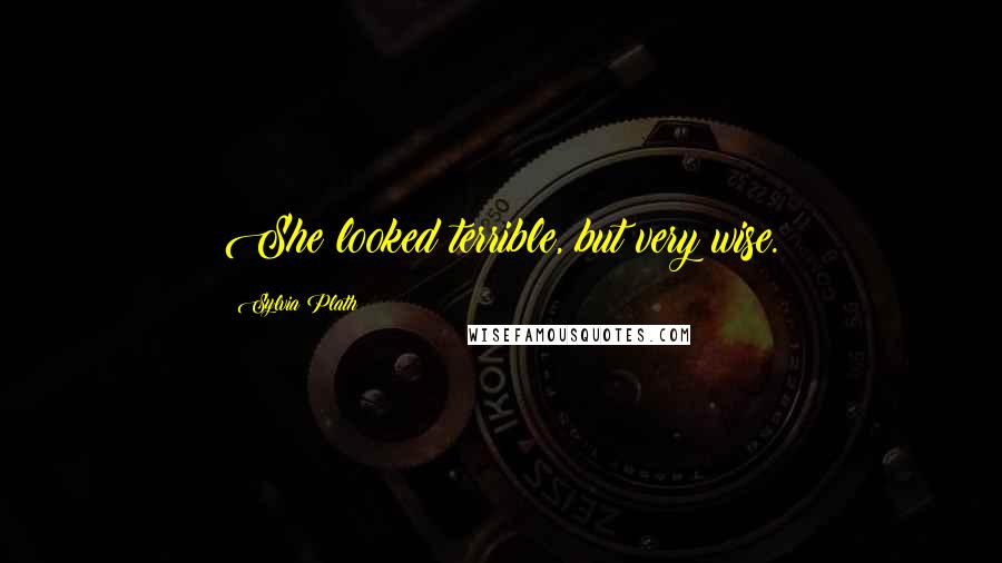 Sylvia Plath Quotes: She looked terrible, but very wise.
