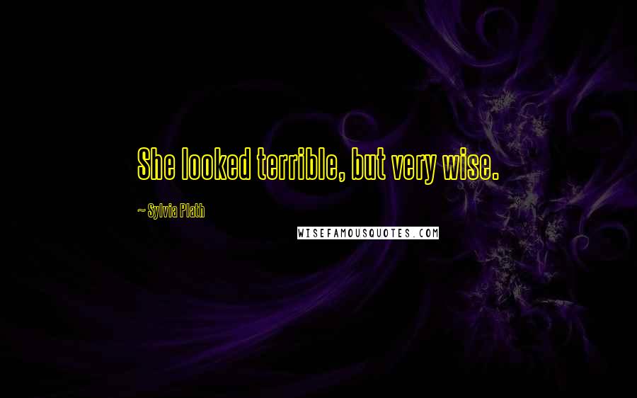 Sylvia Plath Quotes: She looked terrible, but very wise.