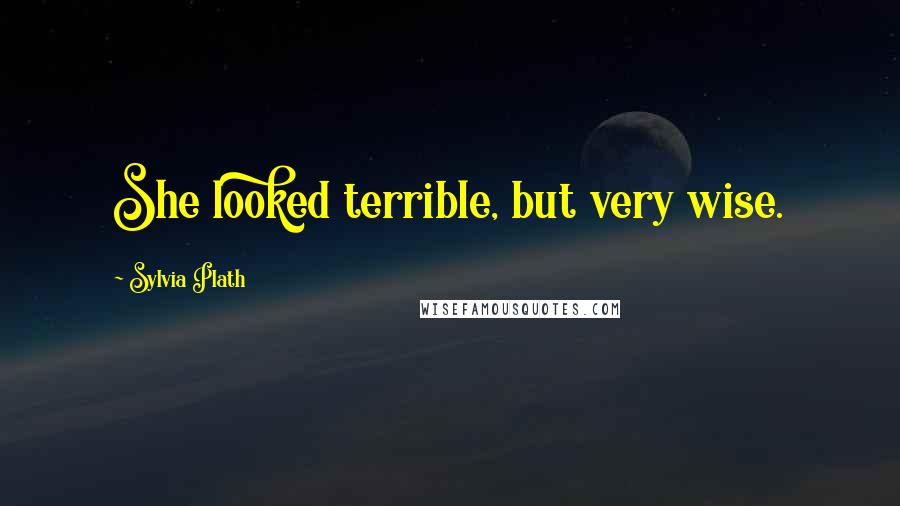 Sylvia Plath Quotes: She looked terrible, but very wise.