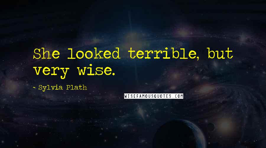 Sylvia Plath Quotes: She looked terrible, but very wise.