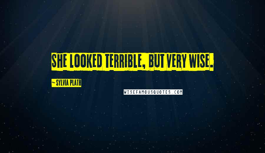 Sylvia Plath Quotes: She looked terrible, but very wise.