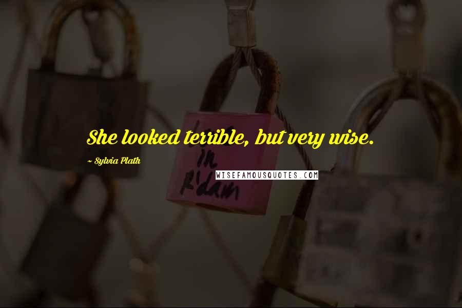 Sylvia Plath Quotes: She looked terrible, but very wise.