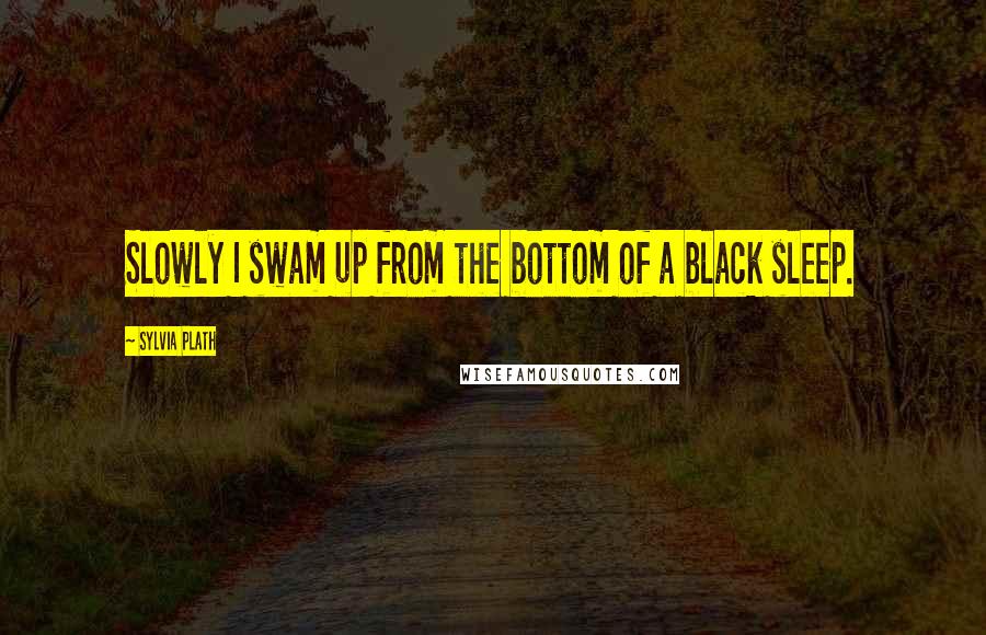 Sylvia Plath Quotes: Slowly I swam up from the bottom of a black sleep.