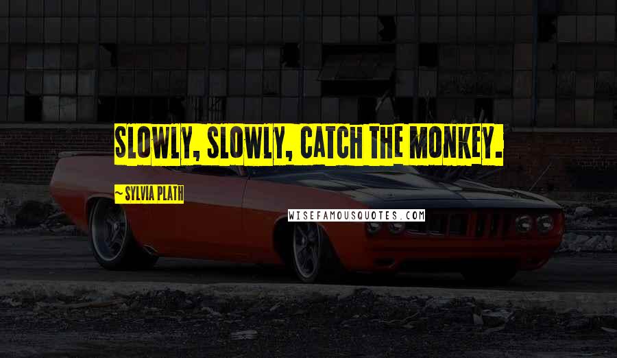 Sylvia Plath Quotes: Slowly, slowly, catch the monkey.