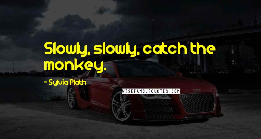 Sylvia Plath Quotes: Slowly, slowly, catch the monkey.