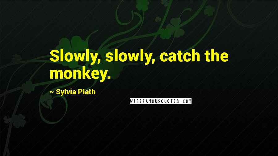 Sylvia Plath Quotes: Slowly, slowly, catch the monkey.