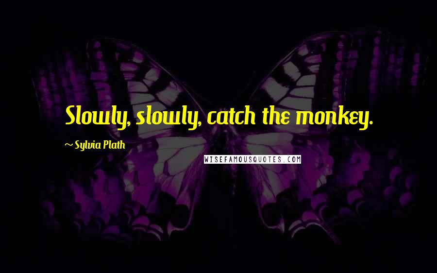 Sylvia Plath Quotes: Slowly, slowly, catch the monkey.