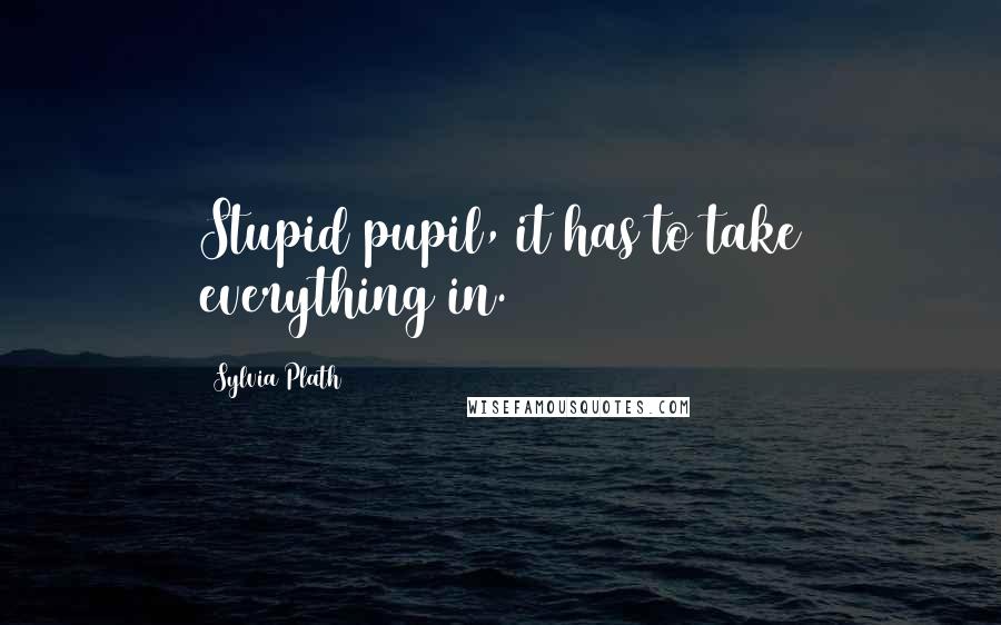 Sylvia Plath Quotes: Stupid pupil, it has to take everything in.