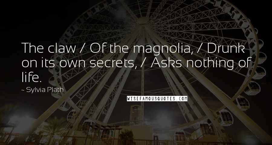 Sylvia Plath Quotes: The claw / Of the magnolia, / Drunk on its own secrets, / Asks nothing of life.