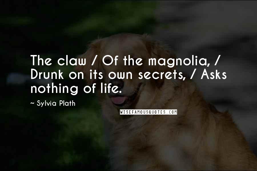 Sylvia Plath Quotes: The claw / Of the magnolia, / Drunk on its own secrets, / Asks nothing of life.