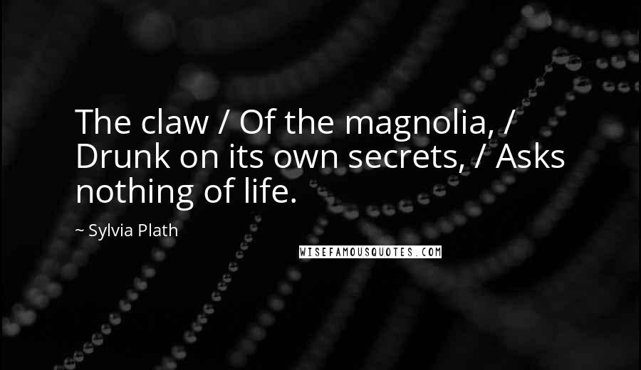 Sylvia Plath Quotes: The claw / Of the magnolia, / Drunk on its own secrets, / Asks nothing of life.