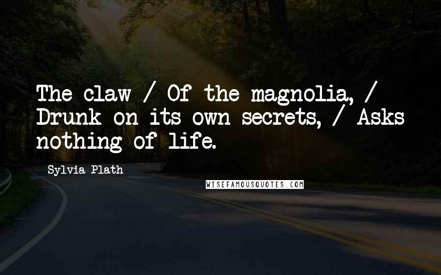 Sylvia Plath Quotes: The claw / Of the magnolia, / Drunk on its own secrets, / Asks nothing of life.