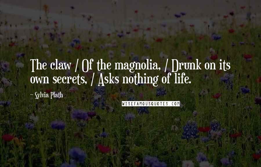 Sylvia Plath Quotes: The claw / Of the magnolia, / Drunk on its own secrets, / Asks nothing of life.