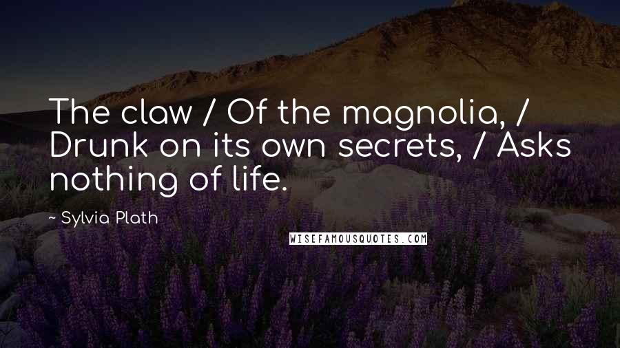 Sylvia Plath Quotes: The claw / Of the magnolia, / Drunk on its own secrets, / Asks nothing of life.