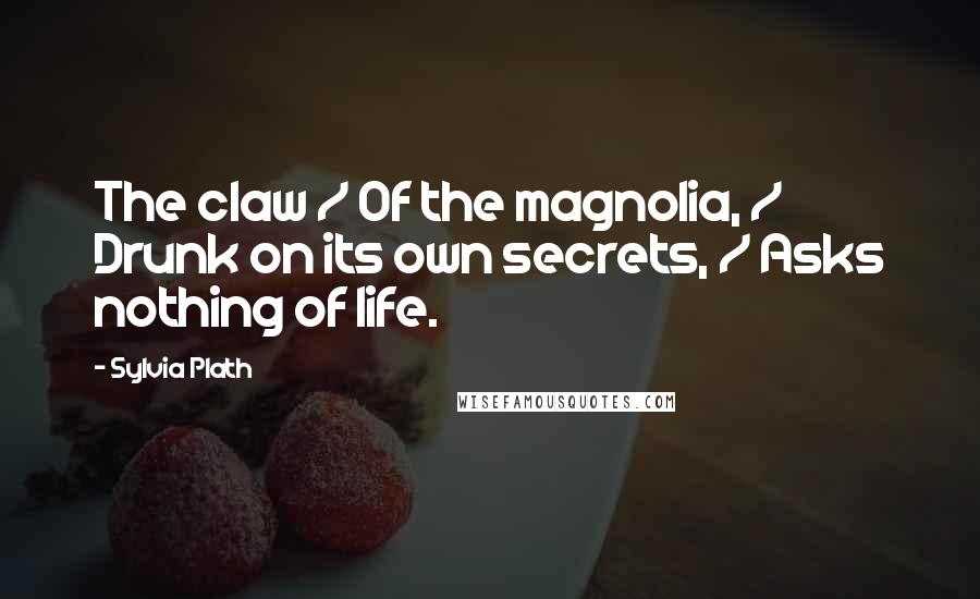 Sylvia Plath Quotes: The claw / Of the magnolia, / Drunk on its own secrets, / Asks nothing of life.
