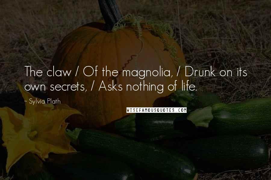 Sylvia Plath Quotes: The claw / Of the magnolia, / Drunk on its own secrets, / Asks nothing of life.