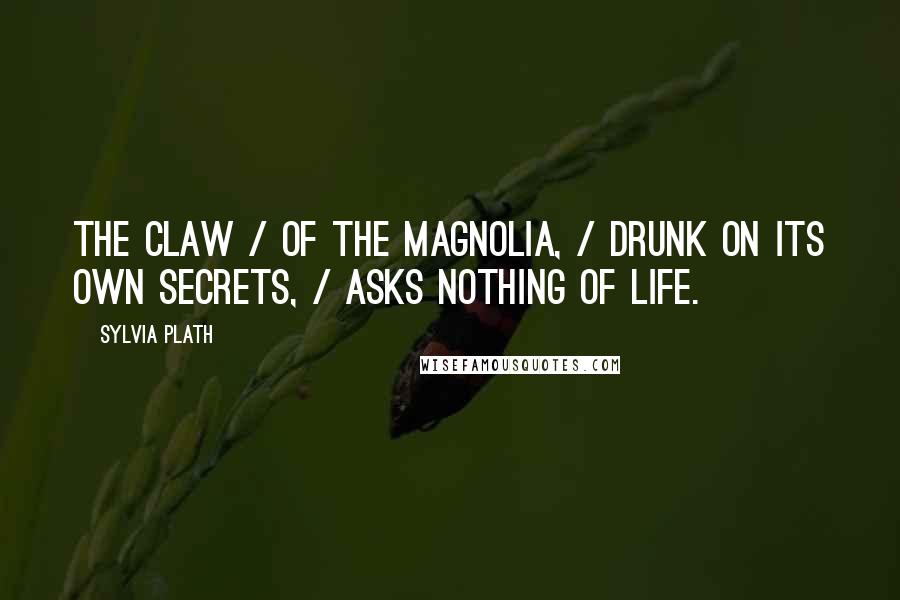 Sylvia Plath Quotes: The claw / Of the magnolia, / Drunk on its own secrets, / Asks nothing of life.