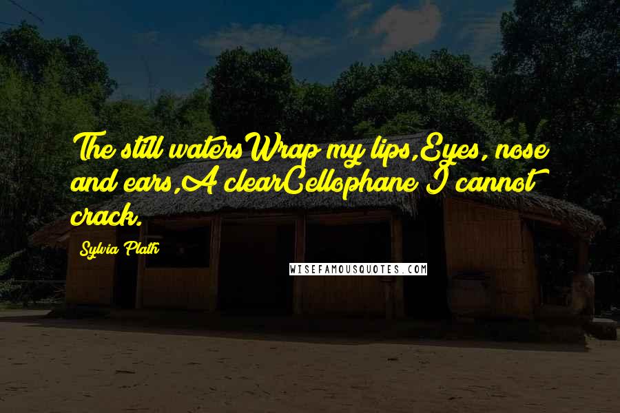 Sylvia Plath Quotes: The still watersWrap my lips,Eyes, nose and ears,A clearCellophane I cannot crack.