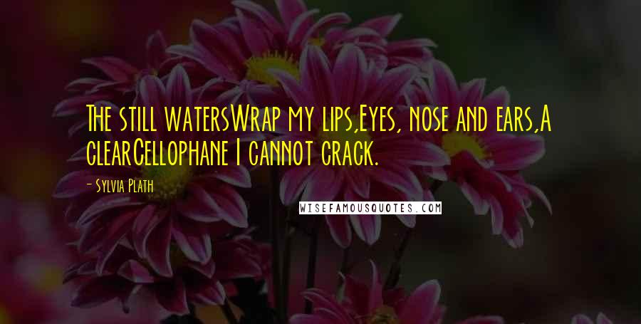 Sylvia Plath Quotes: The still watersWrap my lips,Eyes, nose and ears,A clearCellophane I cannot crack.