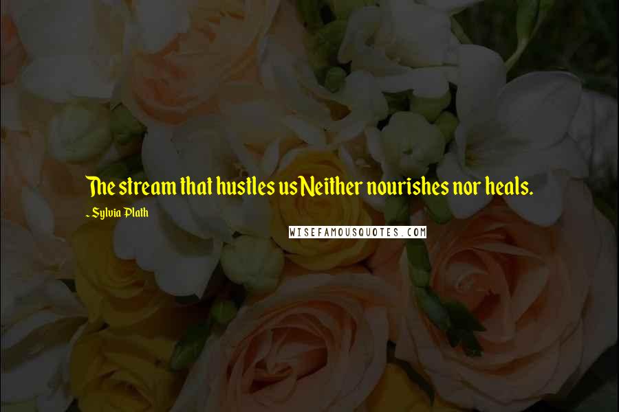 Sylvia Plath Quotes: The stream that hustles usNeither nourishes nor heals.