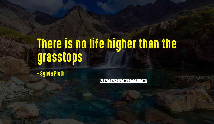 Sylvia Plath Quotes: There is no life higher than the grasstops