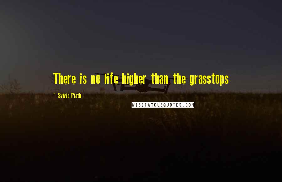 Sylvia Plath Quotes: There is no life higher than the grasstops