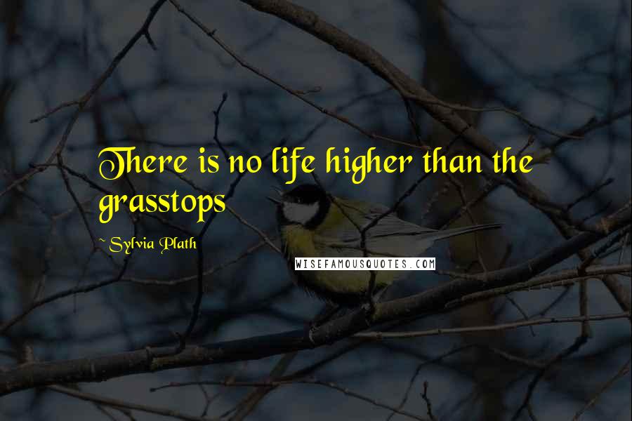 Sylvia Plath Quotes: There is no life higher than the grasstops