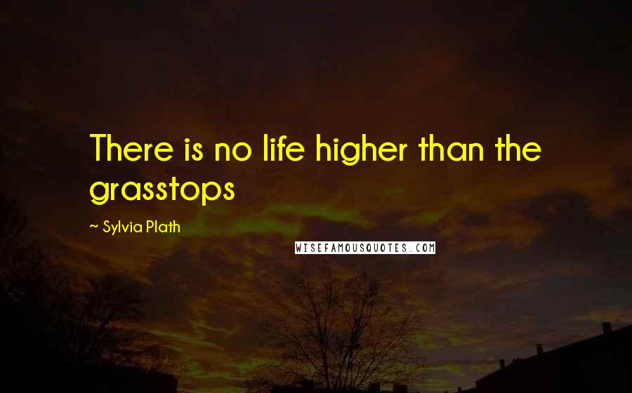 Sylvia Plath Quotes: There is no life higher than the grasstops