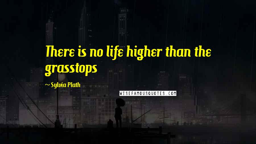 Sylvia Plath Quotes: There is no life higher than the grasstops