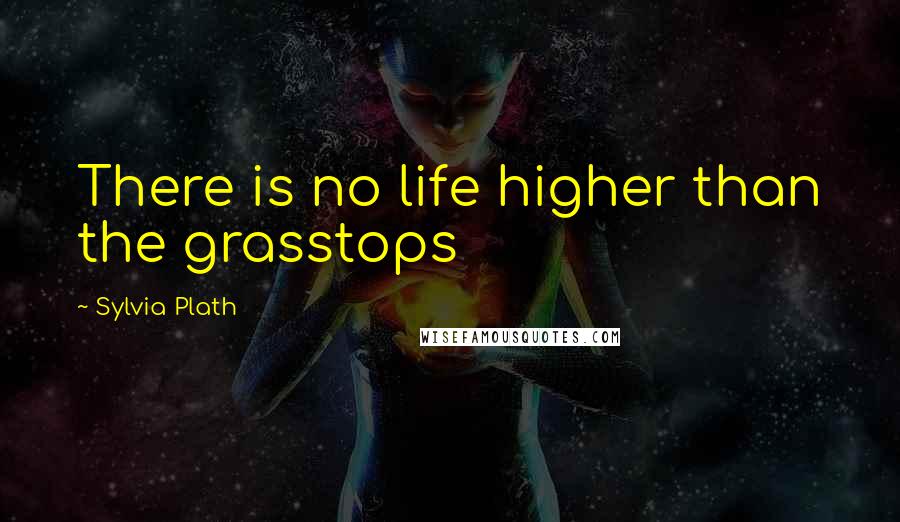 Sylvia Plath Quotes: There is no life higher than the grasstops