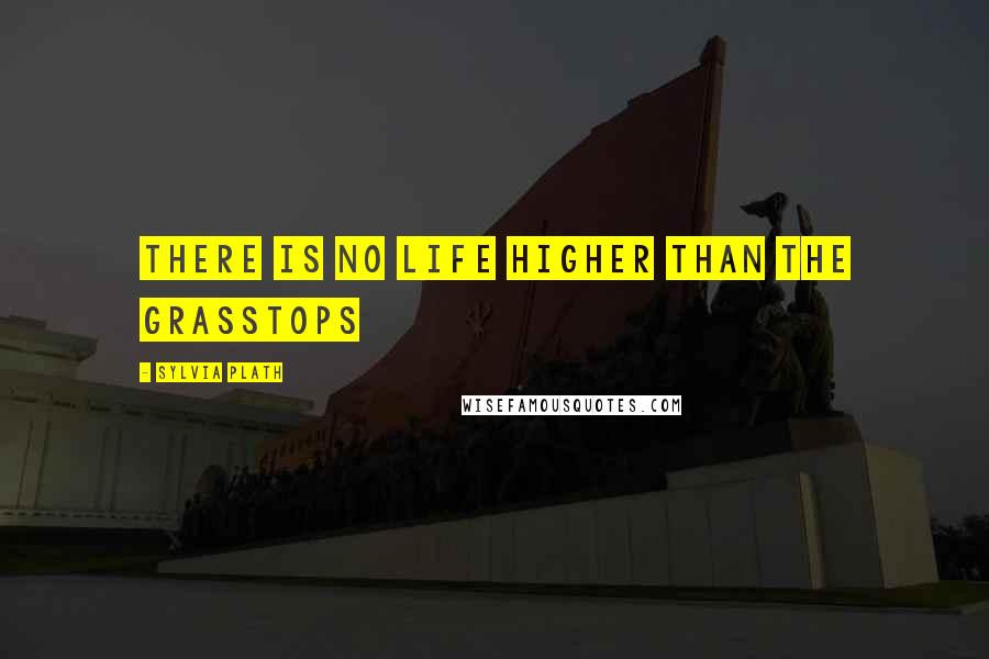 Sylvia Plath Quotes: There is no life higher than the grasstops