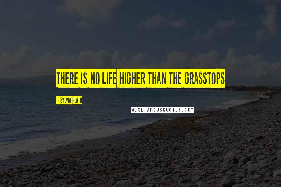 Sylvia Plath Quotes: There is no life higher than the grasstops