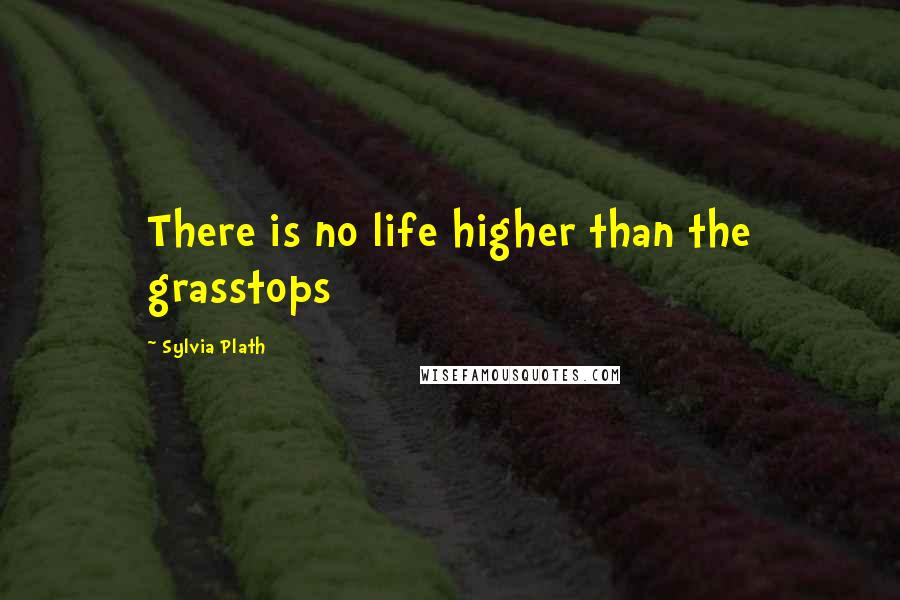 Sylvia Plath Quotes: There is no life higher than the grasstops