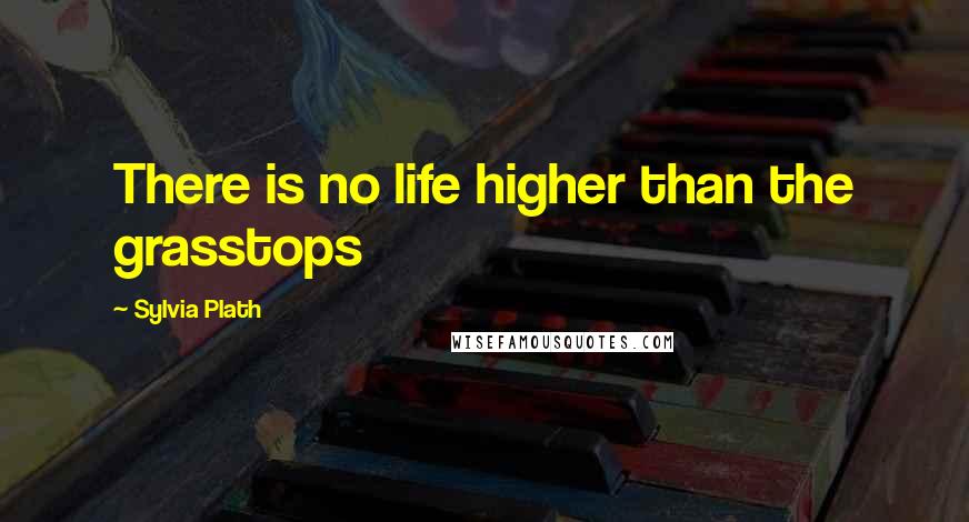 Sylvia Plath Quotes: There is no life higher than the grasstops